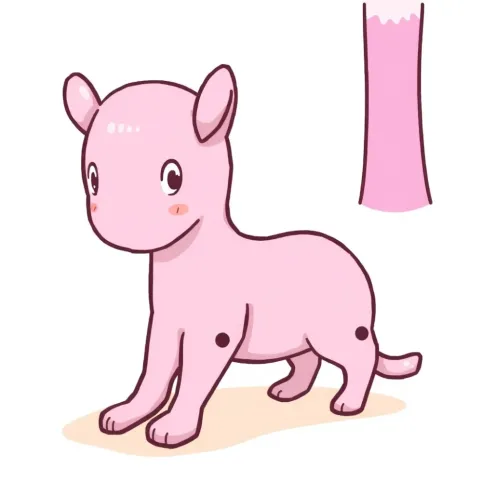 czym myć podłogę winylowa