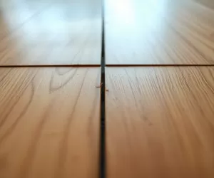 Dlaczego panele skrzypią