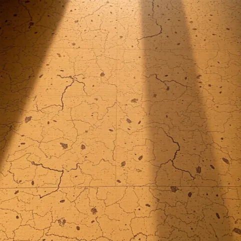 Korek na podłogę cena